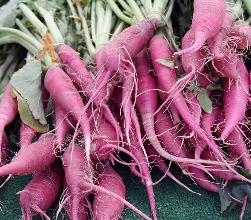 What-are-the-benefits-and side effect-of-Korean-Daikon? What are the benefits and side effect of Korean Daikon?