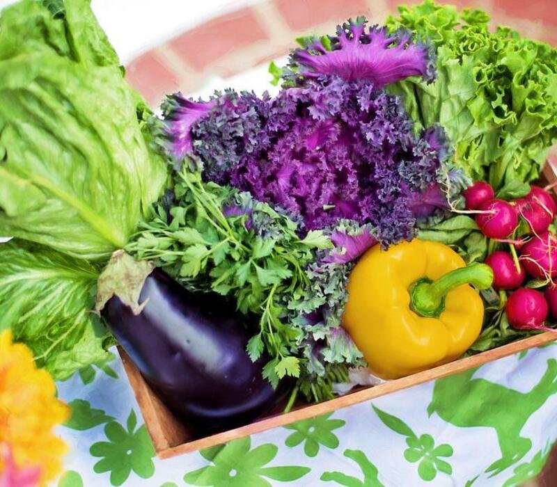 Healthy Dinner Ideas Vegetable Stew