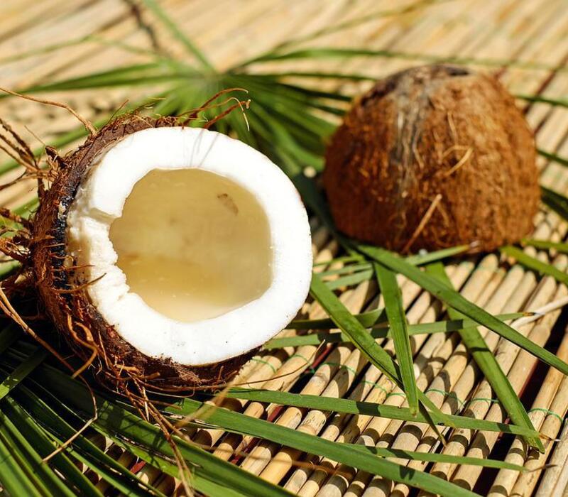 Is Coconut a Fruit? Lifestyle Foodies🍎