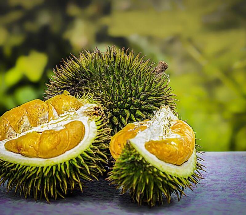 durian-friut The Things You Need to Know About Durian Fruit