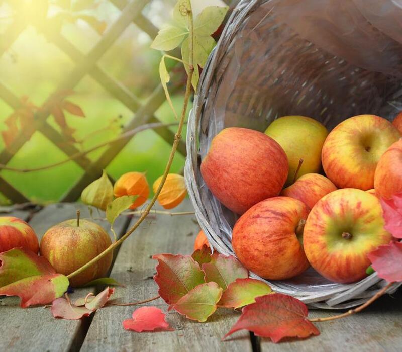 health-benefits-of-apple Top 9 Health Benefits of Apple