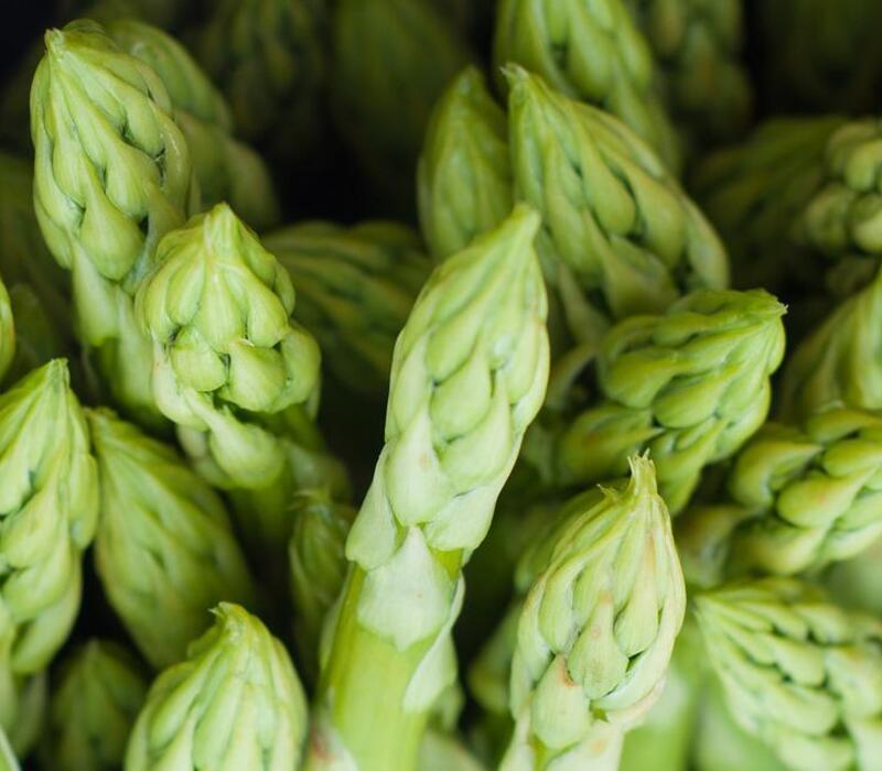 healthy-asparagus-benefits Does Asparagus Have Benefits or Side Effects?