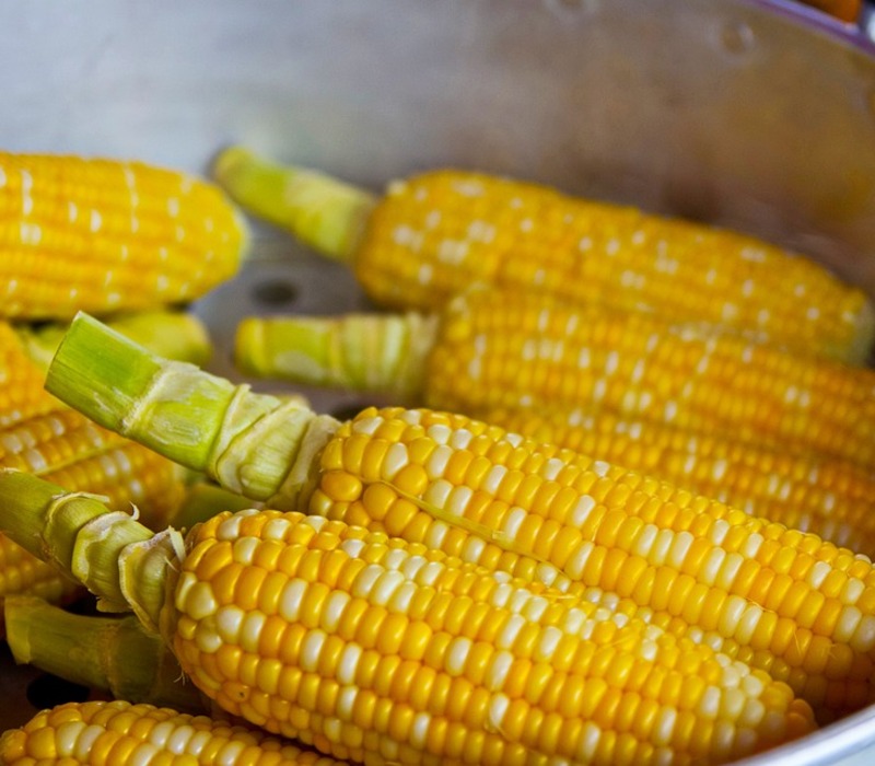 Which is Healthier Corn or Rice?