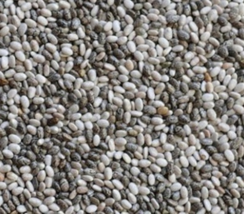 chia seeds Do Chia Seeds go Bad?