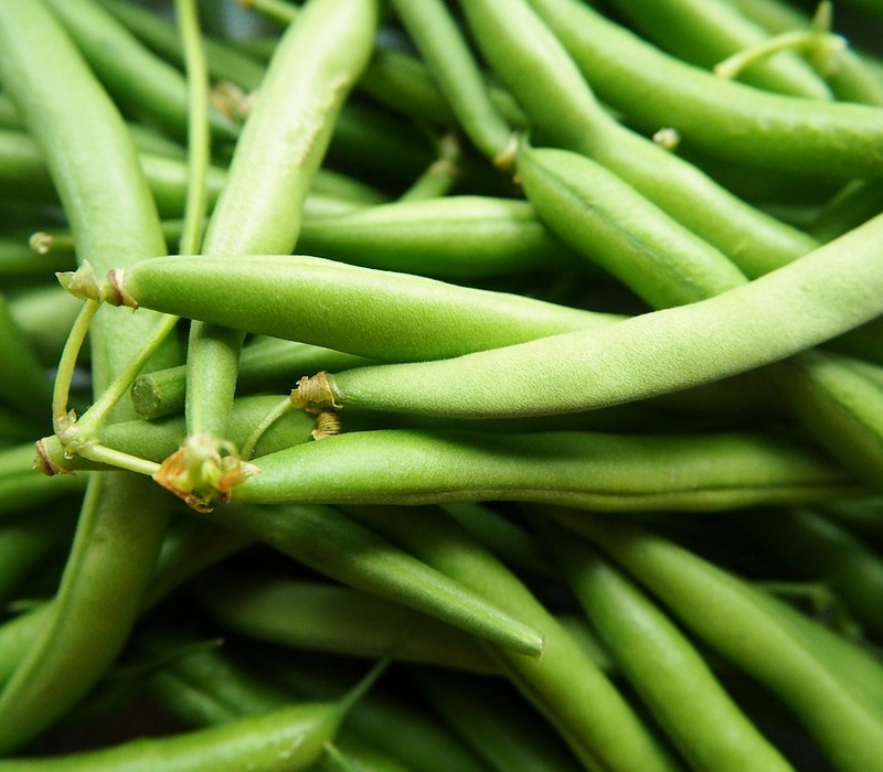 green beans Nutrition Canned Green Beans and Health Benefits