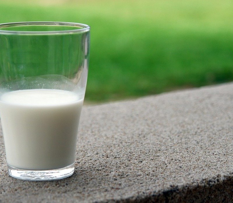 Milk Healthy Meals