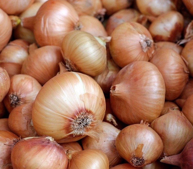 White Onion Nutrition Facts and Health Effects