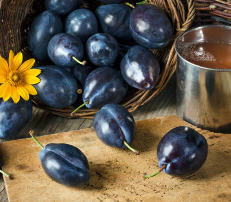 Amazing-Benefits-of-Gerber-Prune Fruit-Juice