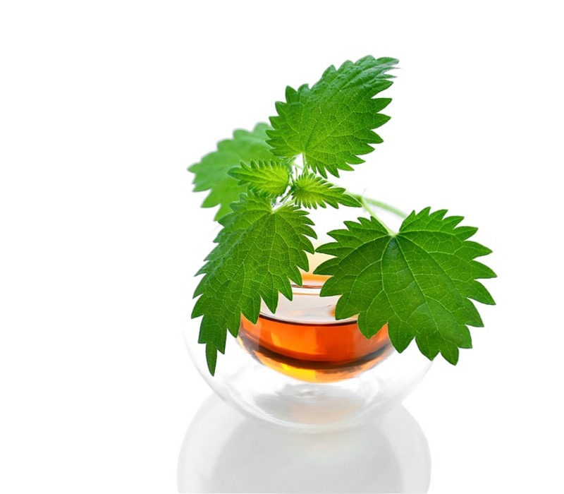 Calabash-Tea-Tremendous-Health-Benefits Calabash Tea Tremendous Health Benefits