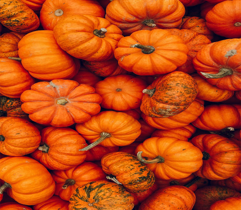 Large orange vegetable
