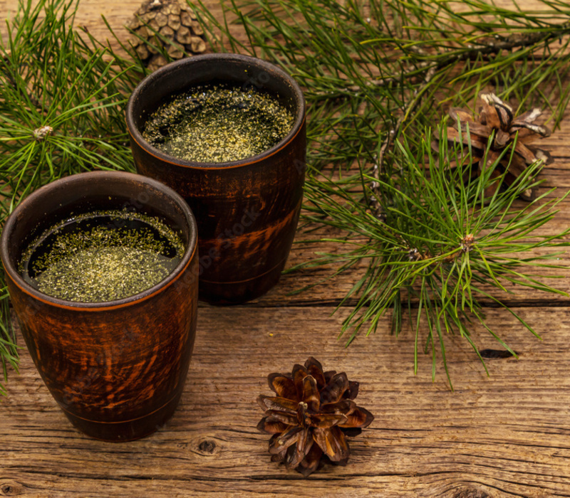 Benefits of Pine Needle Tea Lifestyle Foodies🍎