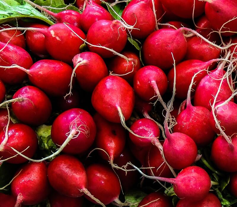 daikon-radish-seeds Things You Must Have - Daikon Radish Seeds
