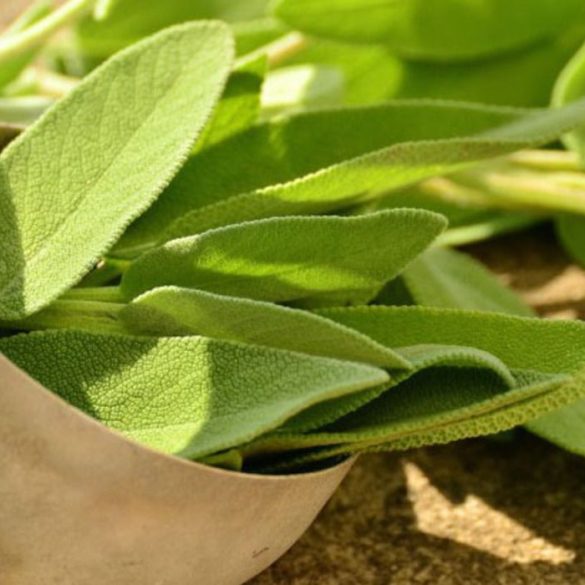 Rice Noodles Carbs Recipe For You to Make Lifestyle Foodies🍎