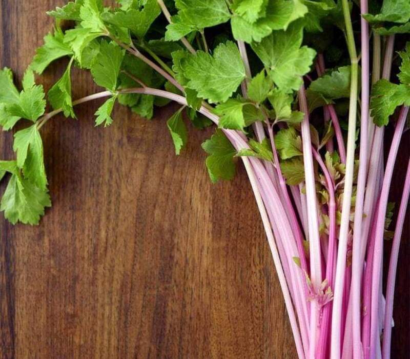What to Know About Pink Celery?