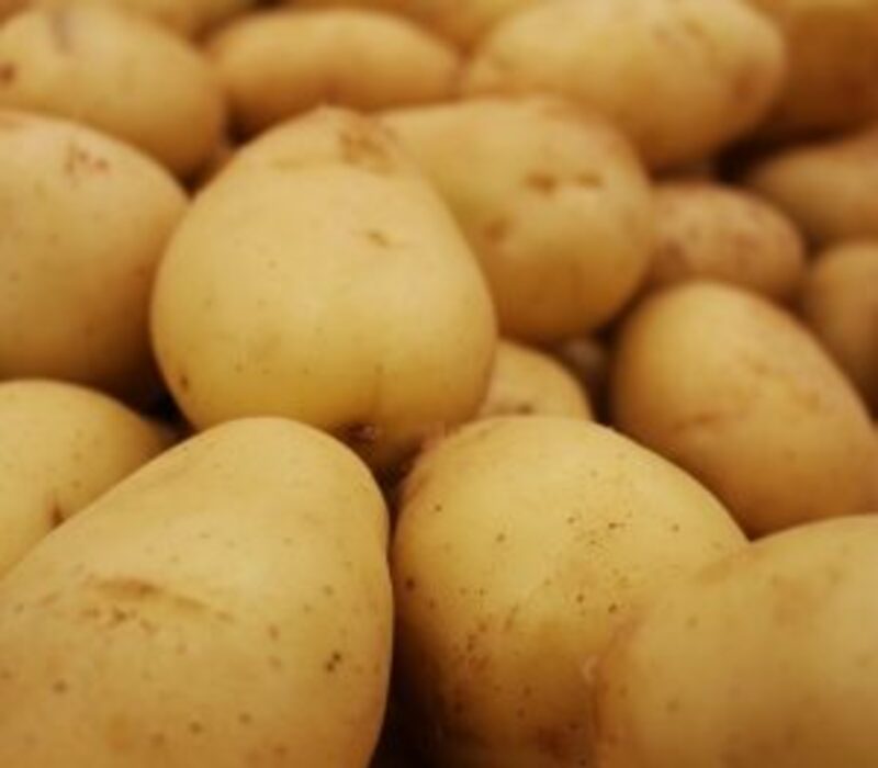 Is-Yellow-Potato-Nutrition-Good-For-Health? Is Yellow Potato Nutrition Good For Health?