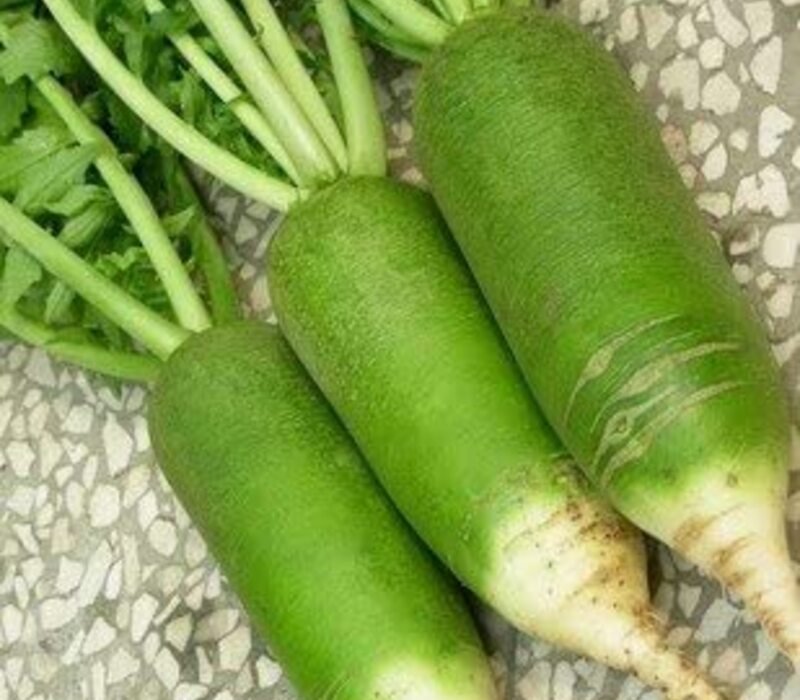 What is Green Radish?