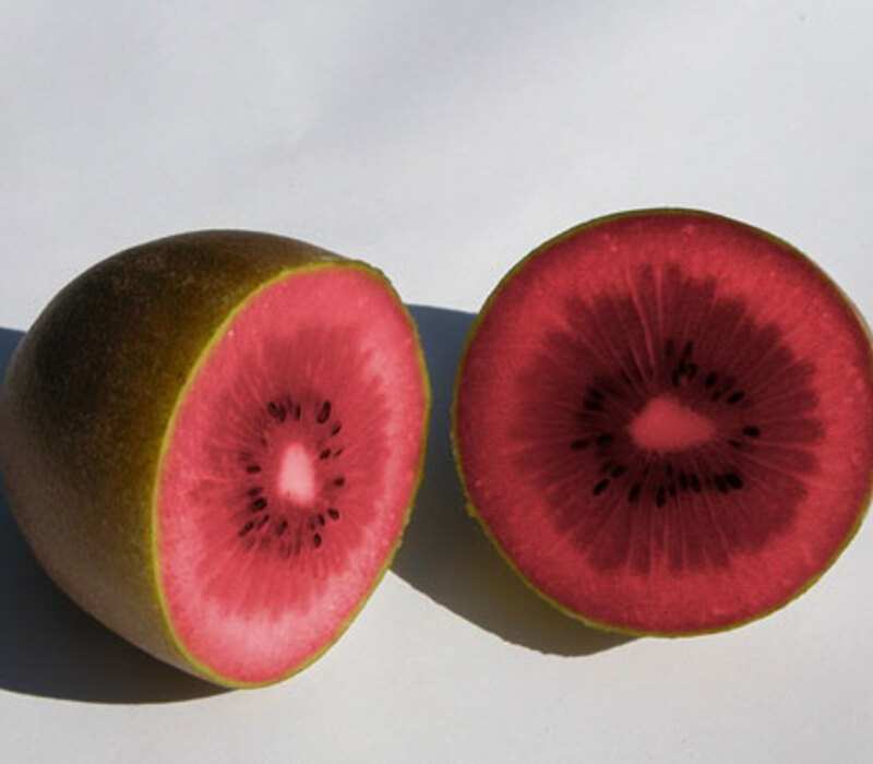 What is Red Kiwi and its Health Benefits?