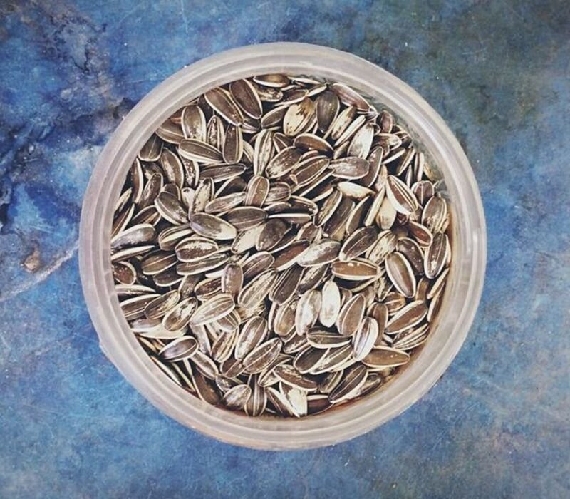 What Are Russian Sunflower Seeds?