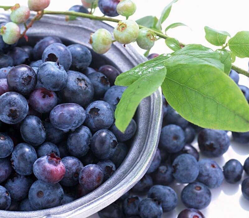 What Are Blueberries?