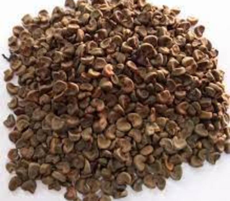 Sorrel Seeds Possible Advantages
