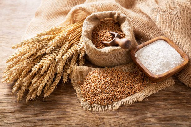 The-Best-Wheat-Montana-Flour
