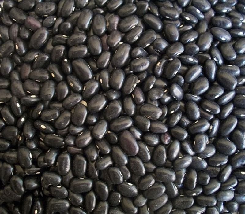 Are Black Beans Healthy? Health Benefits of it Know