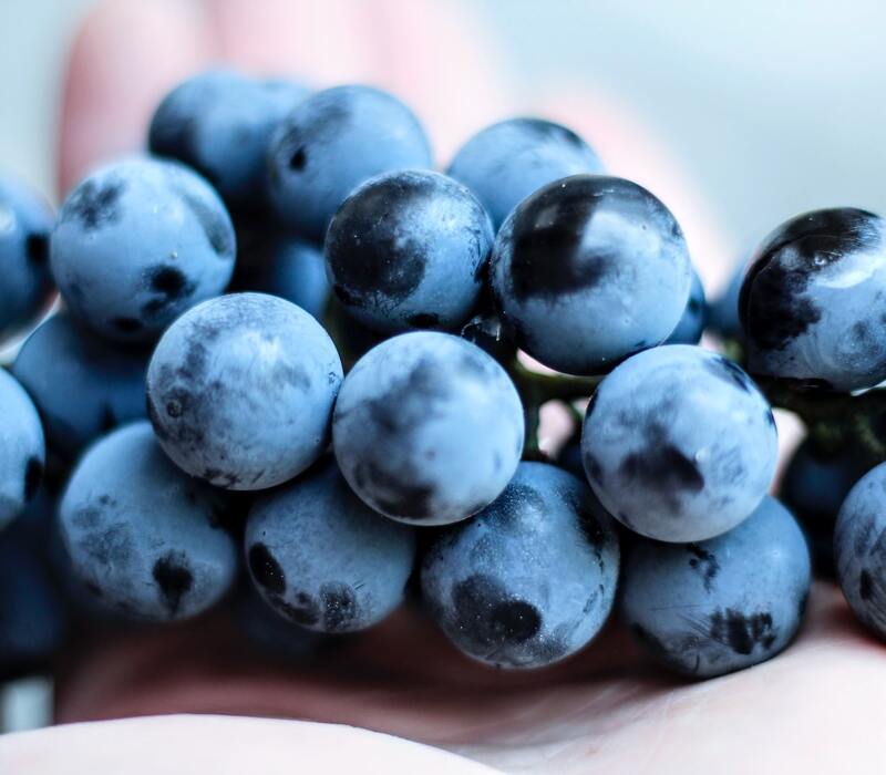 blue-beans Blue Beans | And Easy Recipe You Should Try