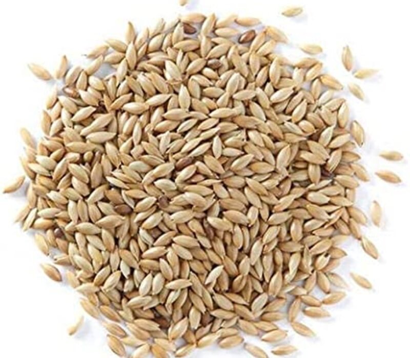 A Reasonable Assortment of Canary Seed For You