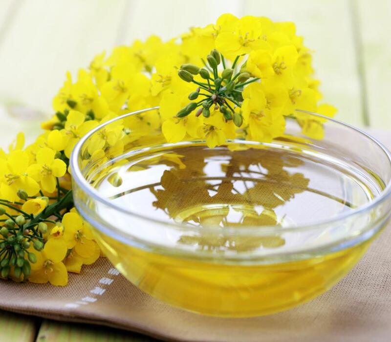 Is Canola Oil Healthy? Reasons For You to Know