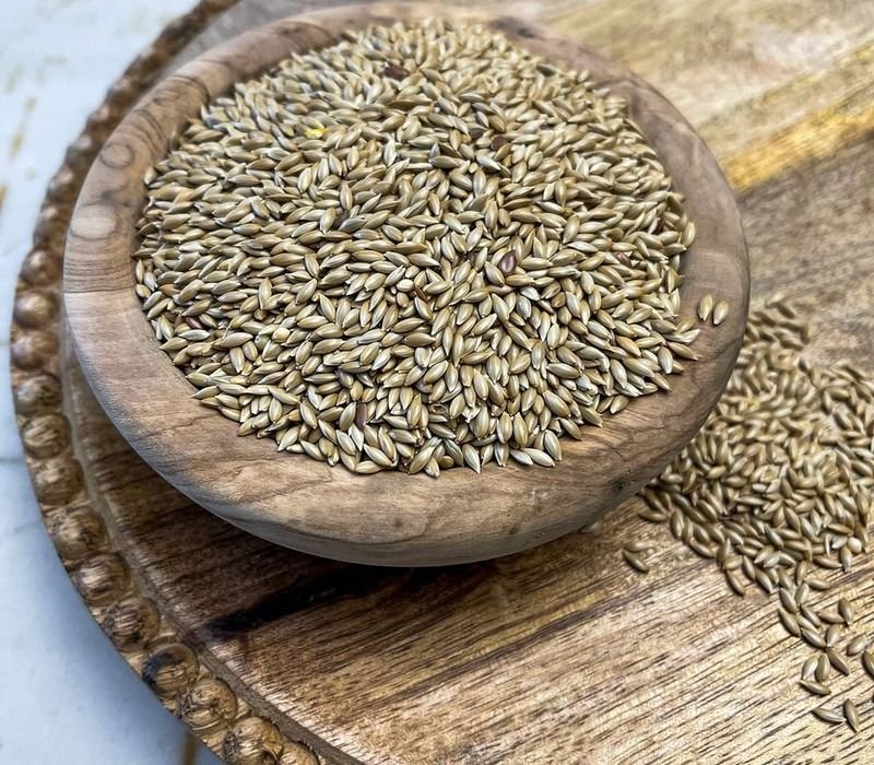 The Healthy Benefits of Canary Seed