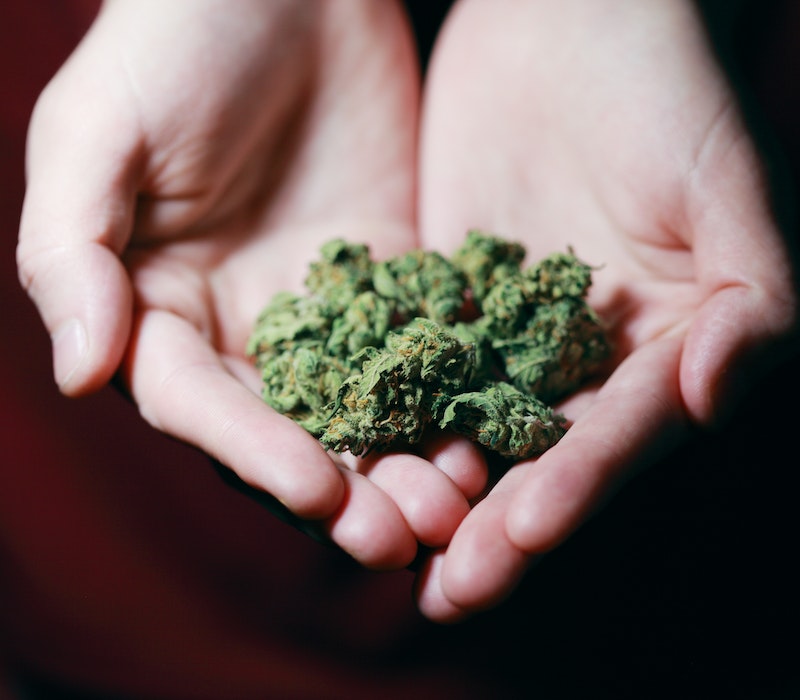 weed Watermelon Gelato Strain | All You Need To Know