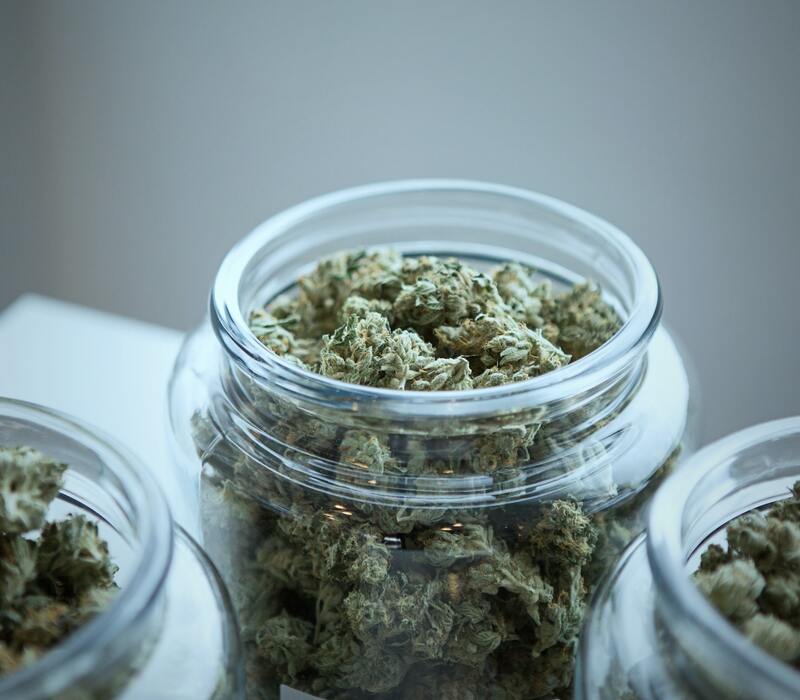 weed-strain Glazed Apricot Gelato Strain | Details And All There Is