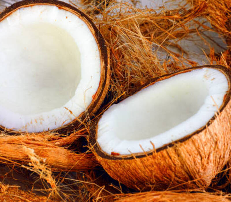 The Best Coconut Fiber The-Best-Coconut-Fiber