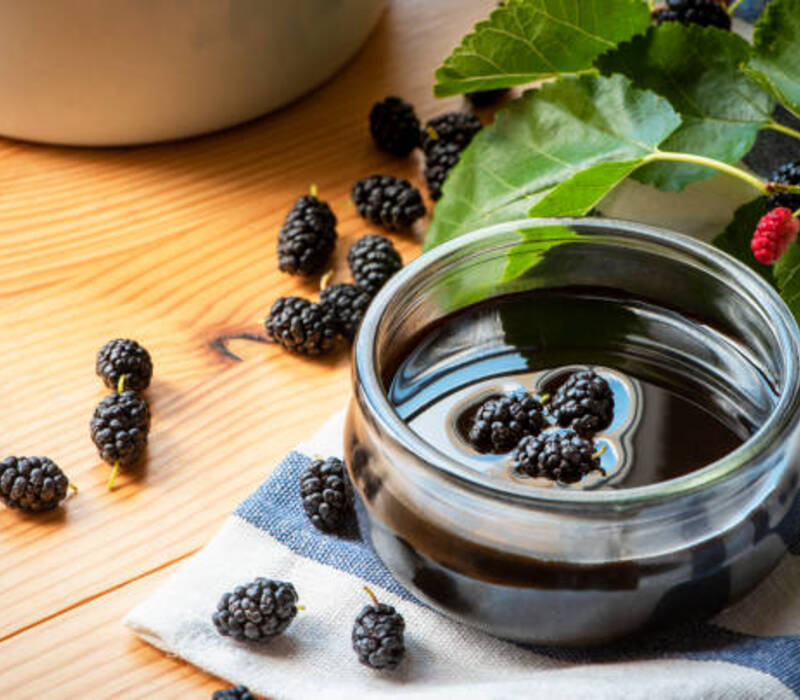 The-Blackberry-Molasses-Amazing-Recipes