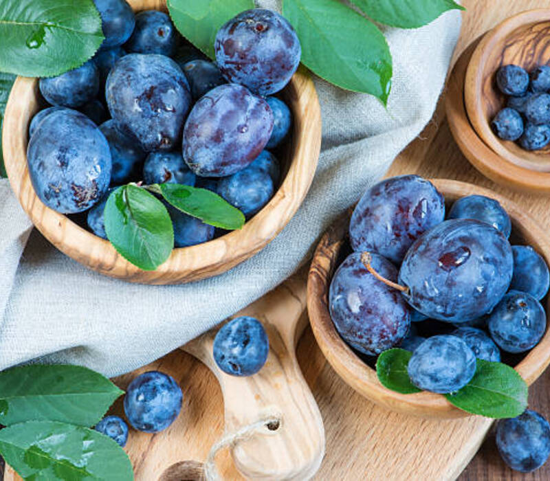 The Plum Carbs Best Benefits and Recipe