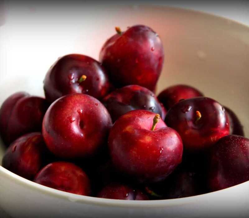 Everything Amazing to Know About Cherry Plums