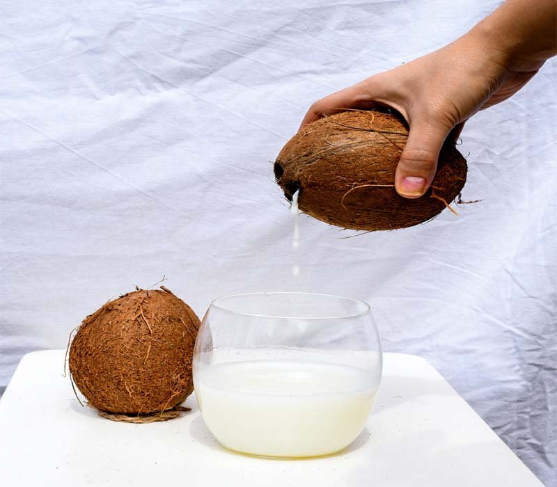coconut milk carbs