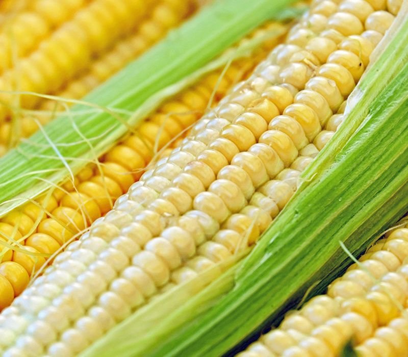 Is Soluble Corn Fiber Good For You?