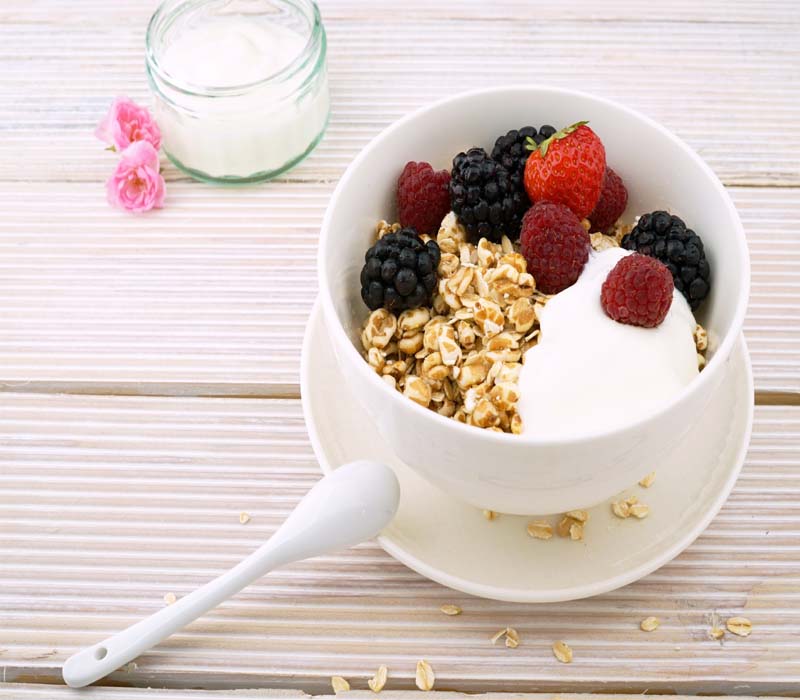 greek yogurt greek yogurt carbs