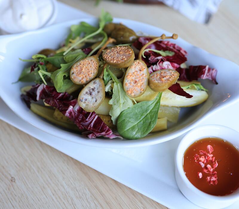 Panera-Fuji-Apple-Salad The Best Panera Fuji Apple Salad for You