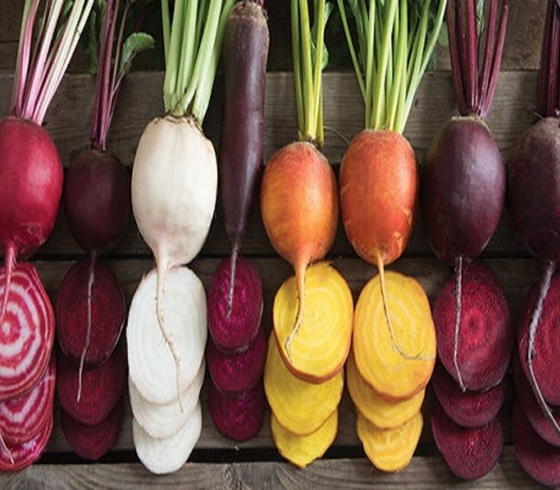 Types-of-Beets Types of Beets & How to Grow Them?