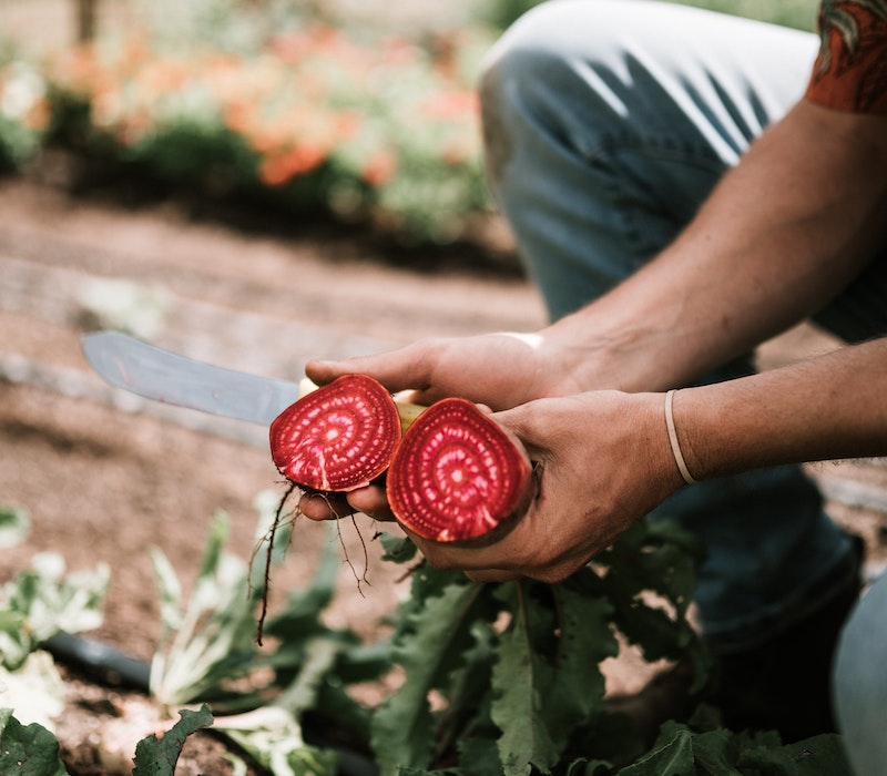 Gluten Free Beet | Taste And Health Together