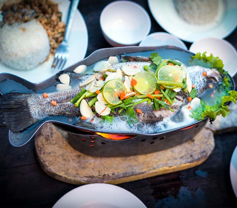 Do You know What Corvina Fish Recipe Taste Like?