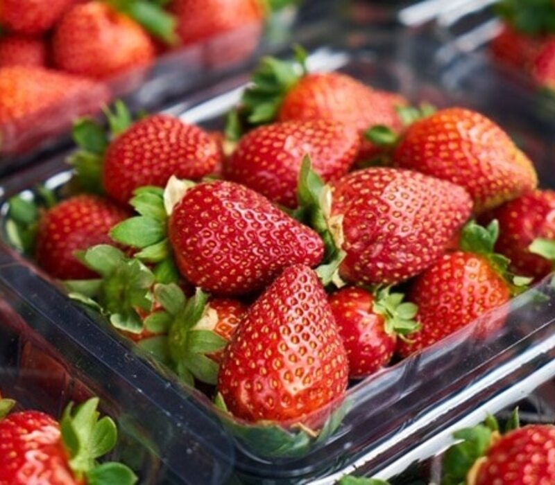 hydroponic-strawberries How to Grow Hydroponic Strawberries?
