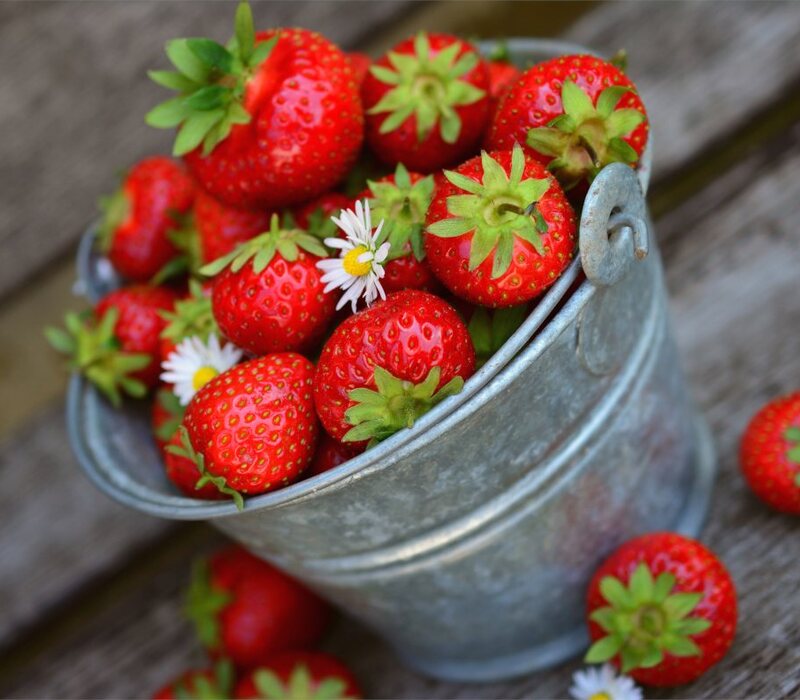 is-strawberry-a-fruit Is Strawberry a Fruit & What to Know About it?