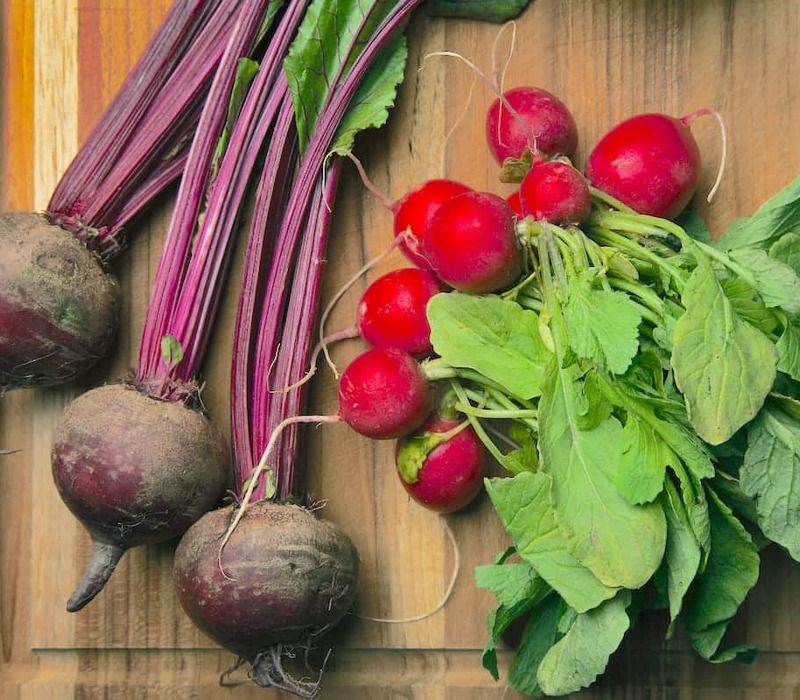 radish-vs-beet What is The Difference Between Radish vs Beet?