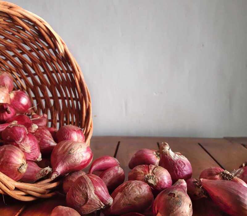 Know About Red Shallot For You