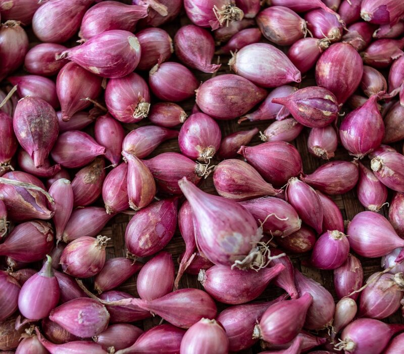 shallot-substitute Best Shallot Substitute That You Do Not Use