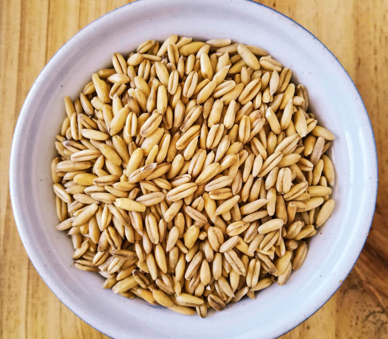 what-are-oat-groats What Are Oat Groats & How to Make it?