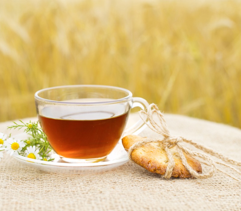 Buckwheats-tea-new-trend Buckwheat's Tea The New Wellness Trend You Need to Try
